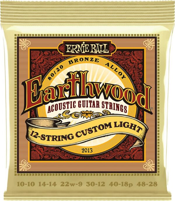 Ernie Ball 2013 Earthwood 12-String Custom Light 10-48