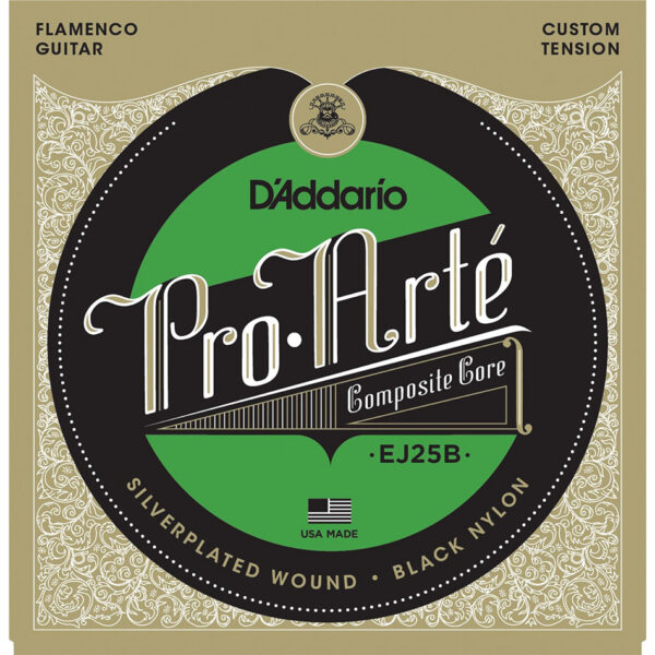 D'Addario EJ25B Pro-Arte Flamenco Black Classical Set
