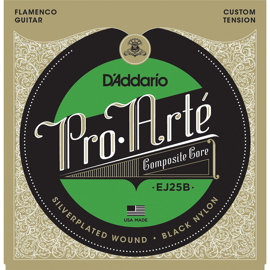 D'Addario EJ25B Pro-Arte Flamenco Black Classical Set