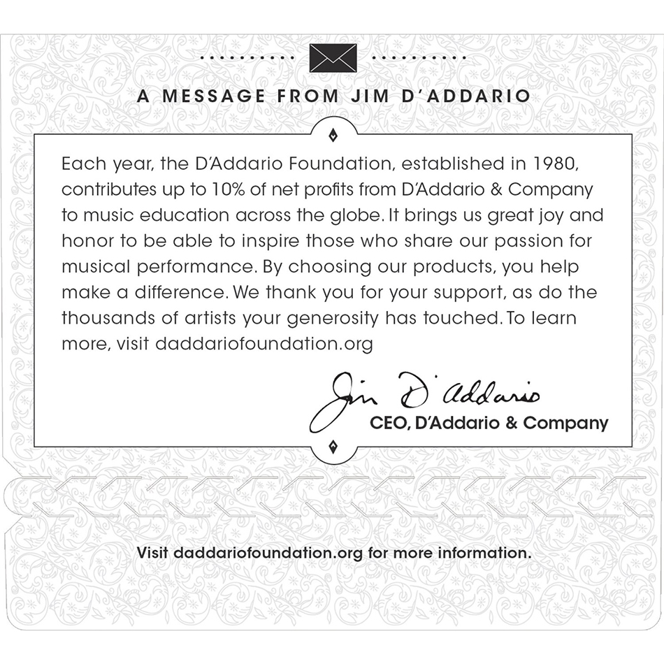 D'Addario EJ25B Pro-Arte Flamenco Black Classical Set - Image 2
