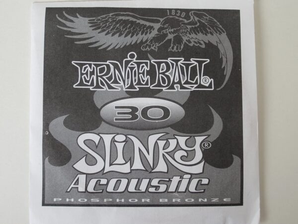 Ernie Ball .030 Earthwood Phosphor Bronze (M6)